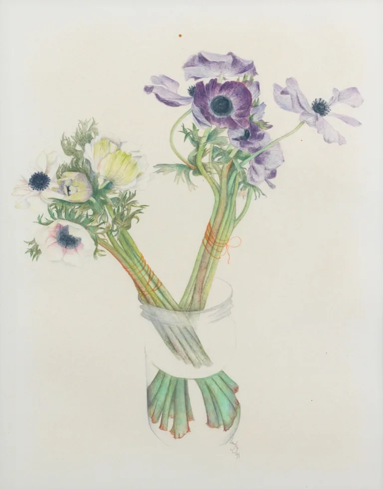 Leyly Matine Daftary - Drawing (Floral Studies, 1991)