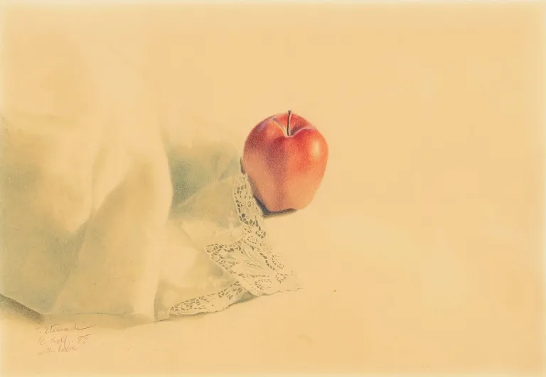 Parvaneh Etemadi - Drawing (Handkerchief With Apple, 1988)